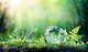 Globe on moss in forest [Image by creator Romolo Tavani from AdobeStock]